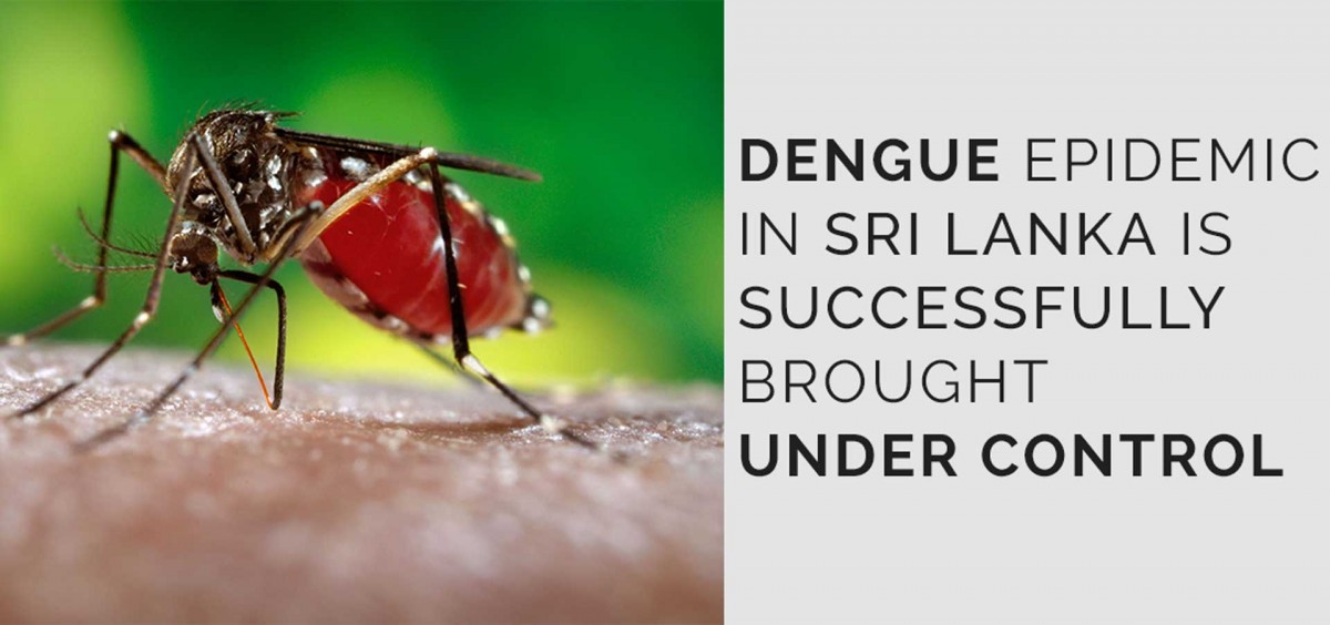 Dengue Epidemic in Sri Lanka is Successfully Brought Under Control ...